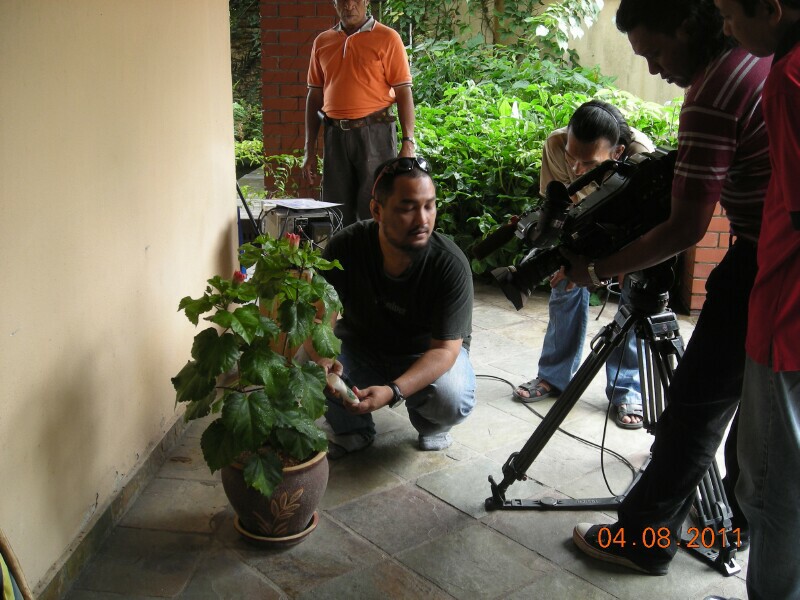 RTM 2011 - 31 RTM 2011 - 31